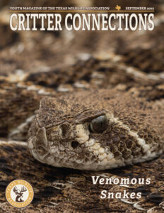 Critter Connections Magazine