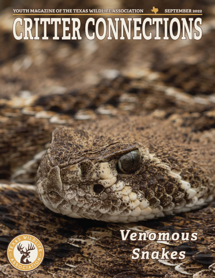 texas-wildlife-association-s-critter-connections-magazine-texas-youth