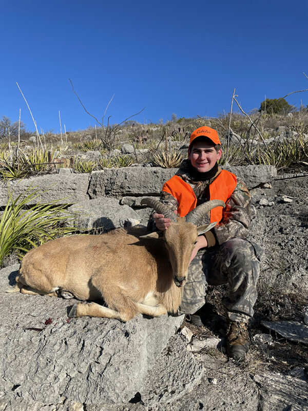 So Many Aoudad! Texas Youth Hunting Program