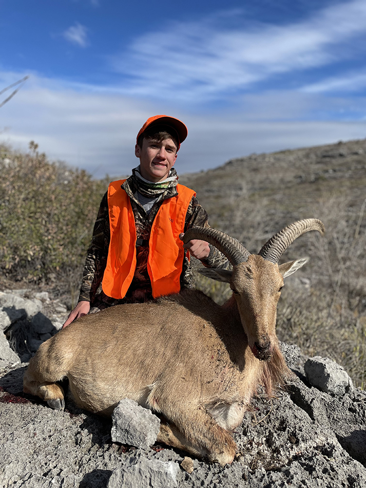 So Many Aoudad! Texas Youth Hunting Program