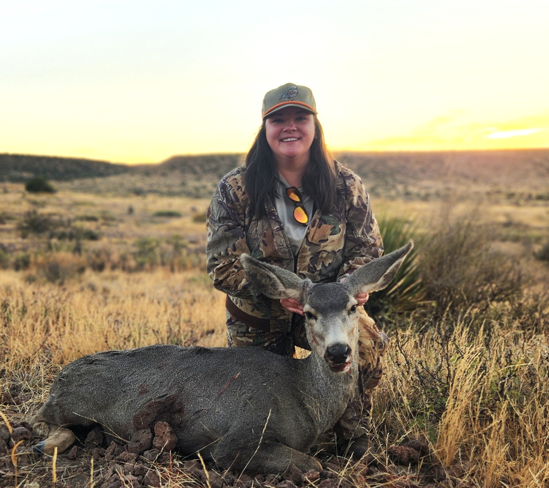 Bri Mule Deer
